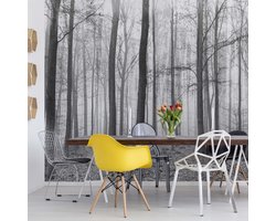 Fotobehang Black And White Misty Forest | VEA - 206cm x 275cm | 130gr/m2 Vlies