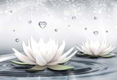 Fotobehang White Lotus Drops Hearts Water | XL - 208cm x 146cm | 130g/m2 Vlies