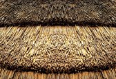 Fotobehang Straw Nature Texture | XL - 208cm x 146cm | 130g/m2 Vlies