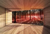 Papier peint Fenêtre Forêt Arbres Poutre Lumière Nature | XL - 208 cm x 146 cm | Polaire 130g / m2