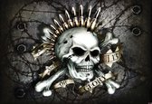 Fotobehang Alchemy Skull Ammunition | XL - 208cm x 146cm | 130g/m2 Vlies