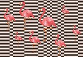 Fotobehang - Vlies Behang - Flamingo's en Strepen - 254 x 184 cm