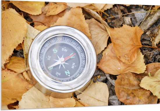 WallClassics - Acrylglas - Traditioneel Kompas op Stapel Herfstbladeren - 150x100 cm Foto op Acrylglas (Met Ophangsysteem)