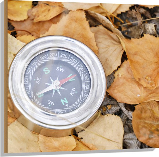 WallClassics - Hout - Traditioneel Kompas op Stapel Herfstbladeren - 80x80 cm - 9 mm dik - Foto op Hout (Met Ophangsysteem)