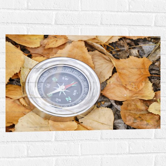 WallClassics - Muursticker - Traditioneel Kompas op Stapel Herfstbladeren - 75x50 cm Foto op Muursticker
