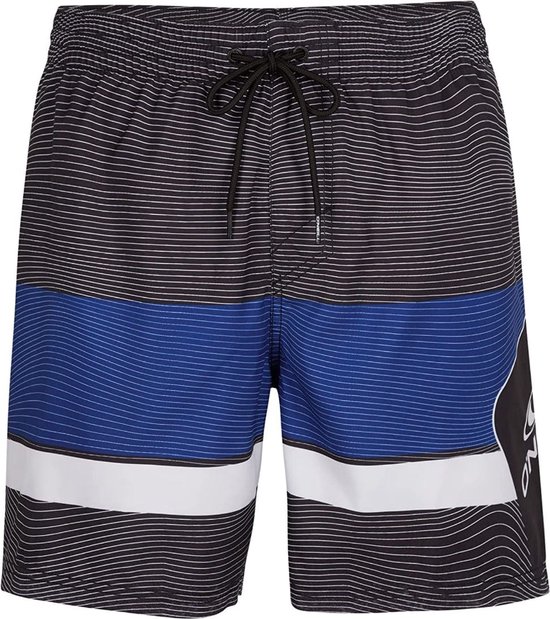 Shorts O Neill pour homme en taille W36 | momox fashion