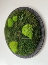 Mijn Design Huis -mosschilderij - moswand - wanddecoratie - mos - schilderij - tafeldecoratie Ø 37 cm