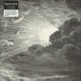 Bardo Pond - Is There A Heaven (12" Vinyl Single)