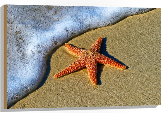 WallClassics - Hout - Oranje Zeester bij Schuimende Golven op het Strand - 90x60 cm - 9 mm dik - Foto op Hout (Met Ophangsysteem)