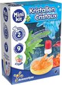 SCIENCE MINI KIT CRISTAUX