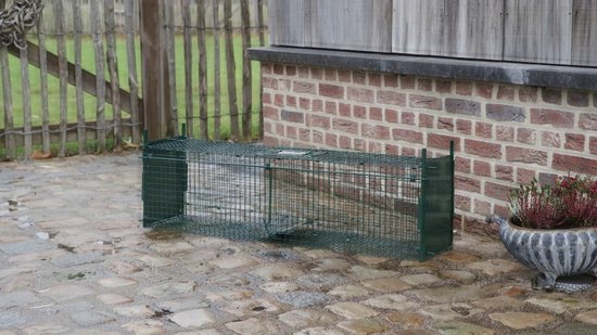 MaxxGarden Piege A Rat - Cage Rat Professionnel - Trappe Capture - Piège à  Souris - Appat Souris avec Une Seule Entrée - Pliable - 100x25x28 cm - Vert