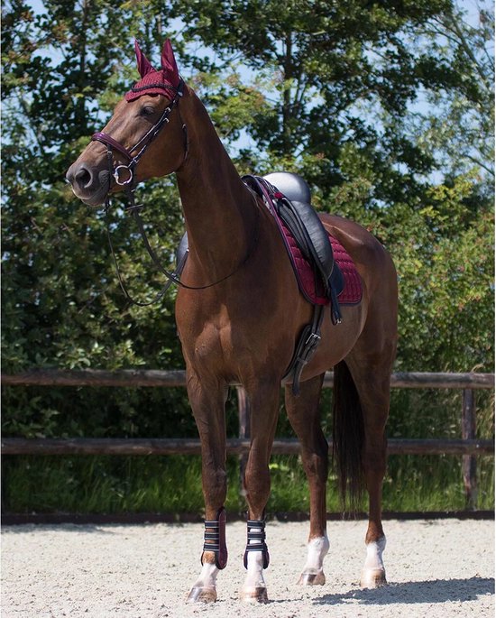 QHP Oornetje Florence - maat Cob - bordeaux — afbeelding 3