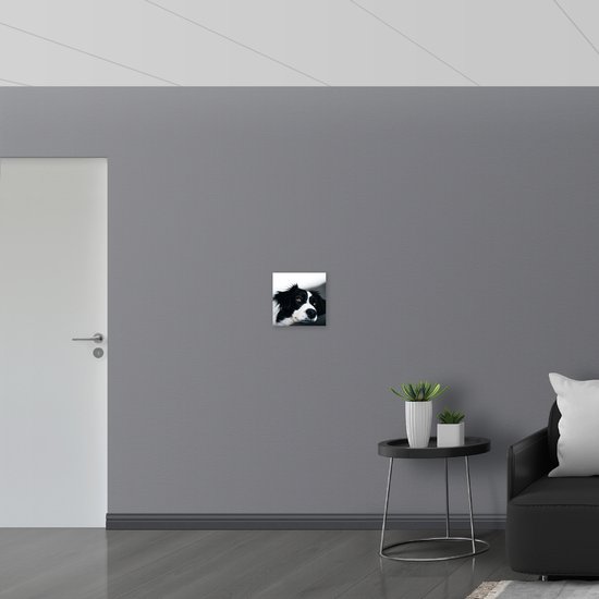 WallClassics - Canvas - Zwart met Witte Hond met Oranje Ogen - 30x30 cm Foto op Canvas Schilderij (Wanddecoratie op Canvas)