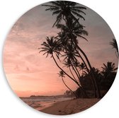 WallClassics - PVC Schuimplaat Muurcirkel - Groepje Hoge Palmbomen op het Strand bij Zonsondergang - 80x80 cm Foto op Muurcirkel (met ophangsysteem)