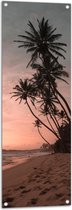 WallClassics - Tuinposter – Groepje Hoge Palmbomen op het Strand bij Zonsondergang - 40x120 cm Foto op Tuinposter (wanddecoratie voor buiten en binnen)