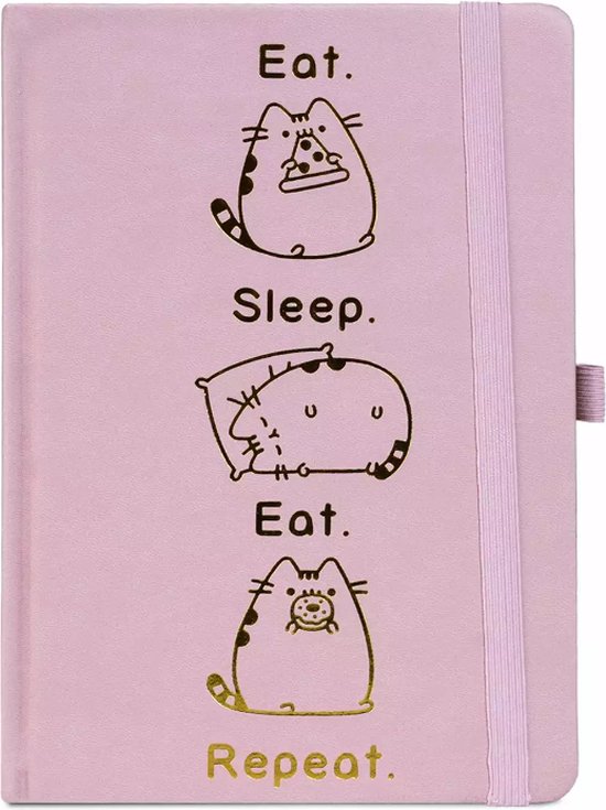 Pyramid PUSHEEN (PUSHEEN SAYS HI) A5 spirálfüzet - Reflexsho