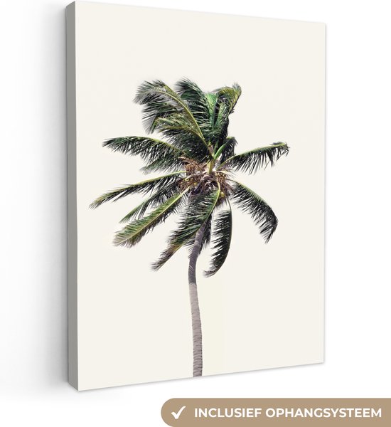 Canvas Schilderij Palmboom - Groen - Natuur - Bladeren - 60x80 cm - Wanddecoratie