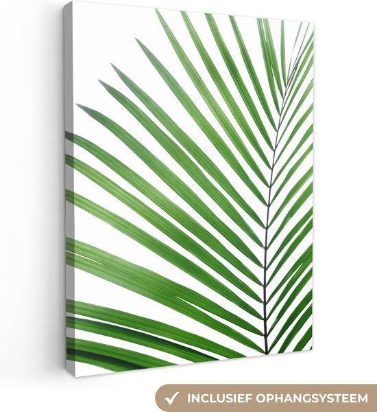 Canvas Schilderij Plant - Groen - Natuur - Wit - 90x120 cm - Wanddecoratie