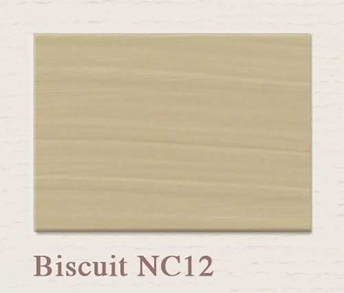 Painting The Past Proefpotje - Biscuit - 60 ml - Kleurtester - Verf Tester