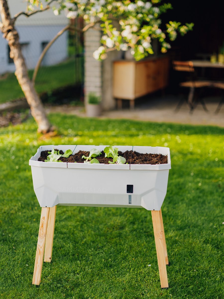 Gusta Garden - Sammy Salad - Slimme kruidenpot met 15 L watertank en Deksel - Kweekbak - Plantenbak - Lichtgrijs