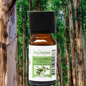 Eucalyptus - Essentiële Oliën -Atmosferische diffusie - 100% pure -HorstDeco