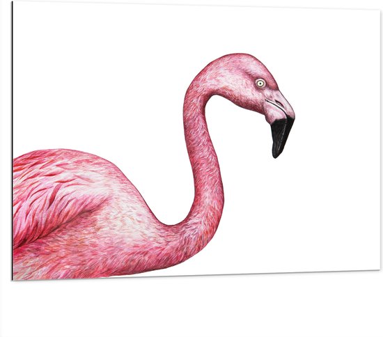 Dibond - Tekening van een Roze Flamingo - 100x75 cm Foto op Aluminium (Wanddecoratie van metaal)
