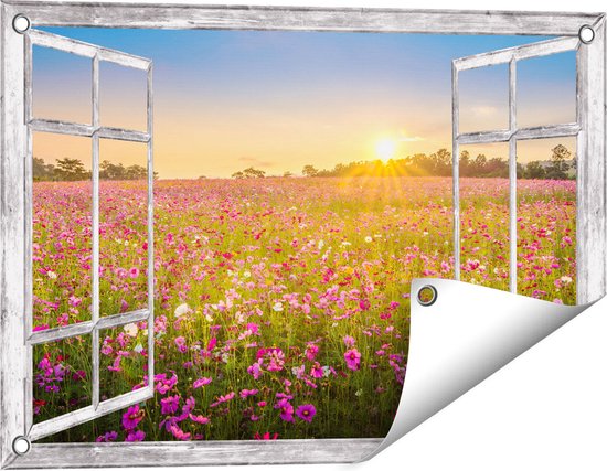 Gards Affiche de jardin Champ de fleurs transparent avec Kosmos rose - 60x40 cm - Toile jardin - Décoration de jardin - Décoration murale extérieur - Tableau jardin