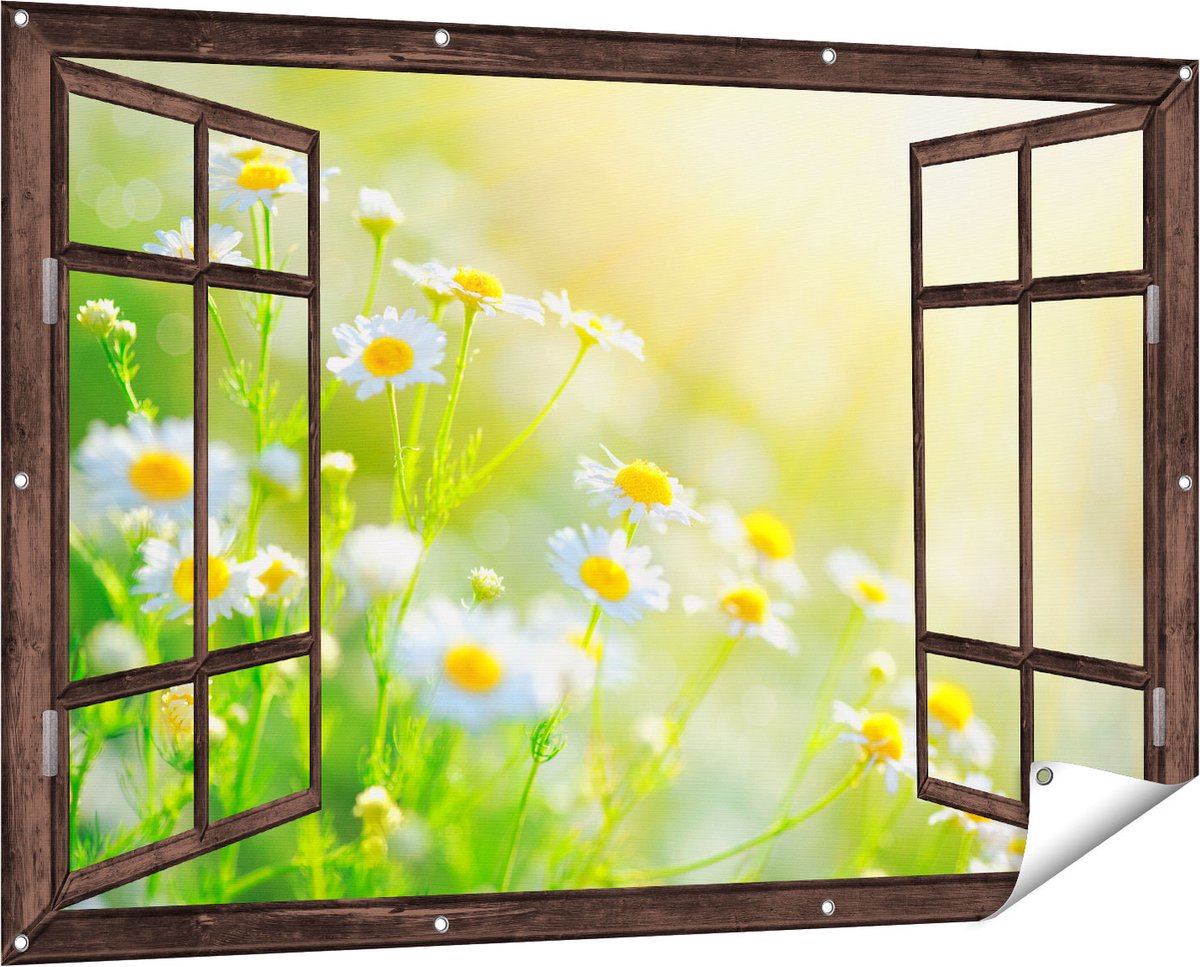 Gards Tuinposter Doorkijk Witte Kamille Bloemen met Zonneschijn - 150x100 cm - Tuindoek - Tuindecoratie - Wanddecoratie buiten - Tuinschilderij Donker bruin