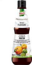 Knorr Professional Intense flavours citrus - Flesje 40 cl