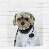Muursticker - Hond Verkleed als Dokter - 60x80 cm Foto op Muursticker