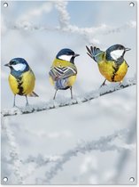 Tuinschilderij Vogel - Koolmees - Winter - Sneeuw - Takken - 60x80 cm - Tuinposter - Tuindoek - Buitenposter