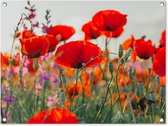 Tuinschilderij - Bloemen - Klaproos - Rood - Tuin - 80x60 cm - Schuttingdoek - Tuinposter - Tuindecoratie - Tuindoek - Buitenposter