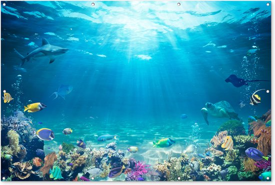 Onderwaterwereld - Zeedieren - Water - Zee - Koraal - Blauw - Tuindoek