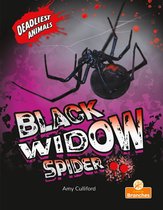 Deadliest Animals - Black Widow Spider