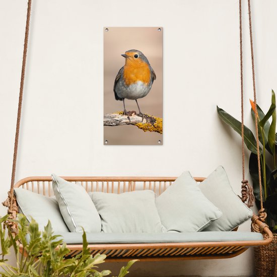 Tuinposter roodborstje hangend aan een witte muur boven een rieten schommelbank met zachte kussens.
