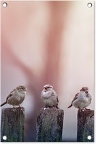 Tuindecoratie Vogels - Mussen - Paaltjes - Hout - 40x60 cm - Tuinposter - Tuindoek - Buitenposter