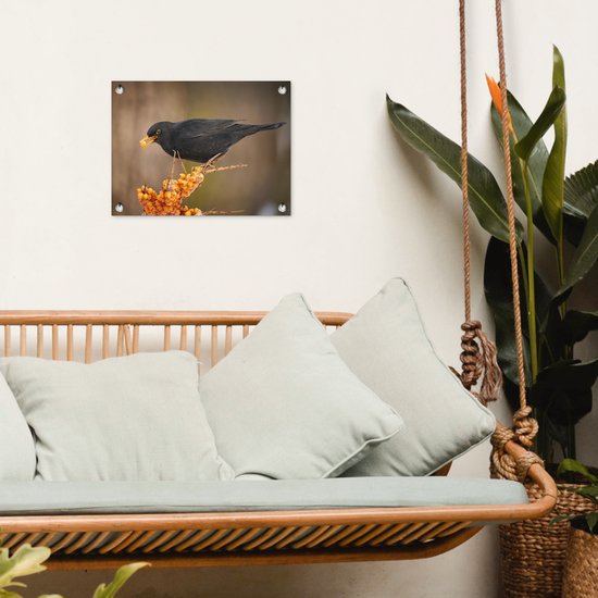 Décoration de Jardin Vogel - Merle - Hiver - Glace - Baie - 40x30 cm - Toile de jardin - Poster extérieur