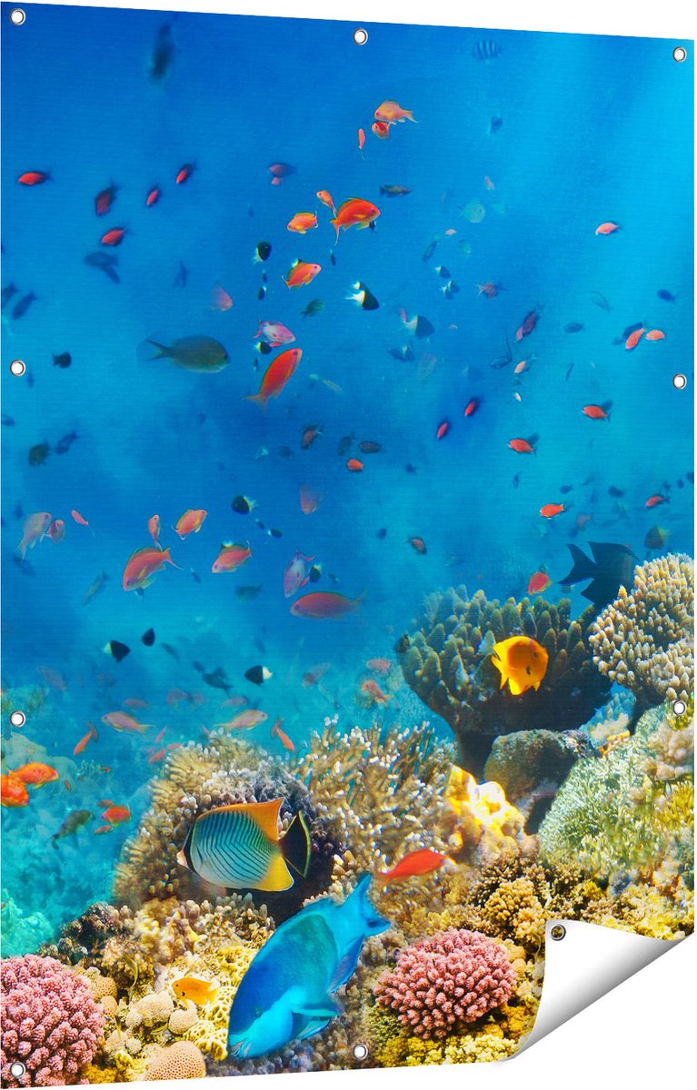 Gards Tuinposter Onderwater Vissen met Koraal in de Zee - 90x120 cm - Tuindoek - Tuindecoratie - Wanddecoratie buiten - Tuinschilderij Multikleur
