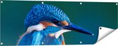 Gards Tuinposter Blauwe IJsvogel op een Tak - 120x40 cm - Tuindoek - Tuindecoratie - Wanddecoratie buiten - Tuinschilderij