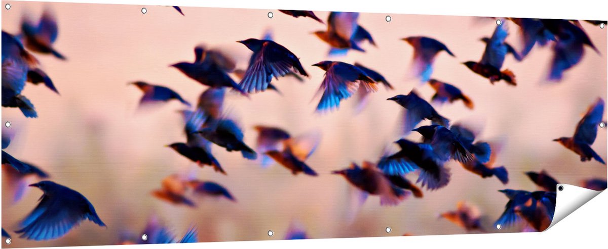 Gards Tuinposter Groep Vliegende Blauwe Spreeuw Vogels - 210x70 cm - Tuindoek - Tuindecoratie - Wanddecoratie buiten - Tuinschilderij Multikleur