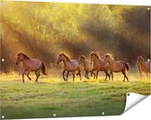 Gards Tuinposter Kudde Bruine Paarden in de Wei - 120x80 cm - Tuindoek - Tuindecoratie - Wanddecoratie buiten - Tuinschilderij