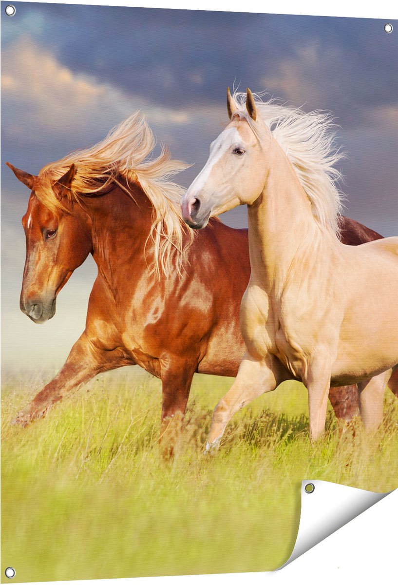 Gards Tuinposter Bruin en Wit Paard in de Wei - 80x100 cm - Tuindoek - Tuindecoratie - Wanddecoratie buiten - Tuinschilderij Multikleur