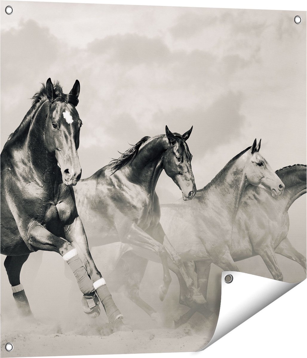 Gards Tuinposter Vier Paarden naast Elkaar - Zwart Wit - 70x70 cm - Tuindoek - Tuindecoratie - Wanddecoratie buiten - Tuinschilderij Multikleur