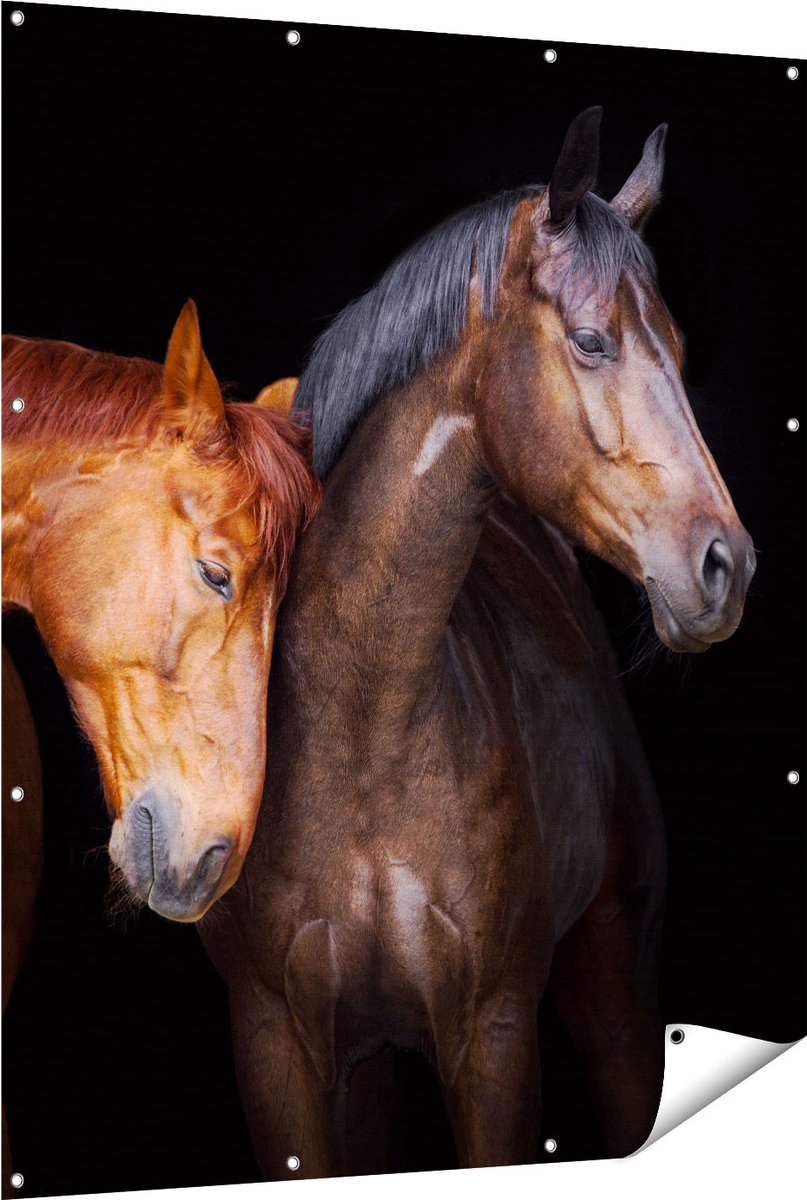 Gards Tuinposter Twee Bruine Paarden Koppel - Liefde - 120x150 cm - Tuindoek - Tuindecoratie - Wanddecoratie buiten - Tuinschilderij Multikleur