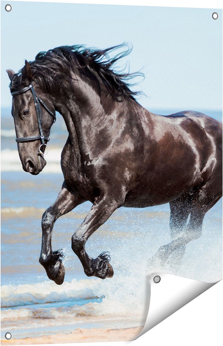 Gards Tuinposter Zwart Paard in het Water - 60x80 cm - Tuindoek - Tuindecoratie - Wanddecoratie buiten - Tuinschilderij Multikleur