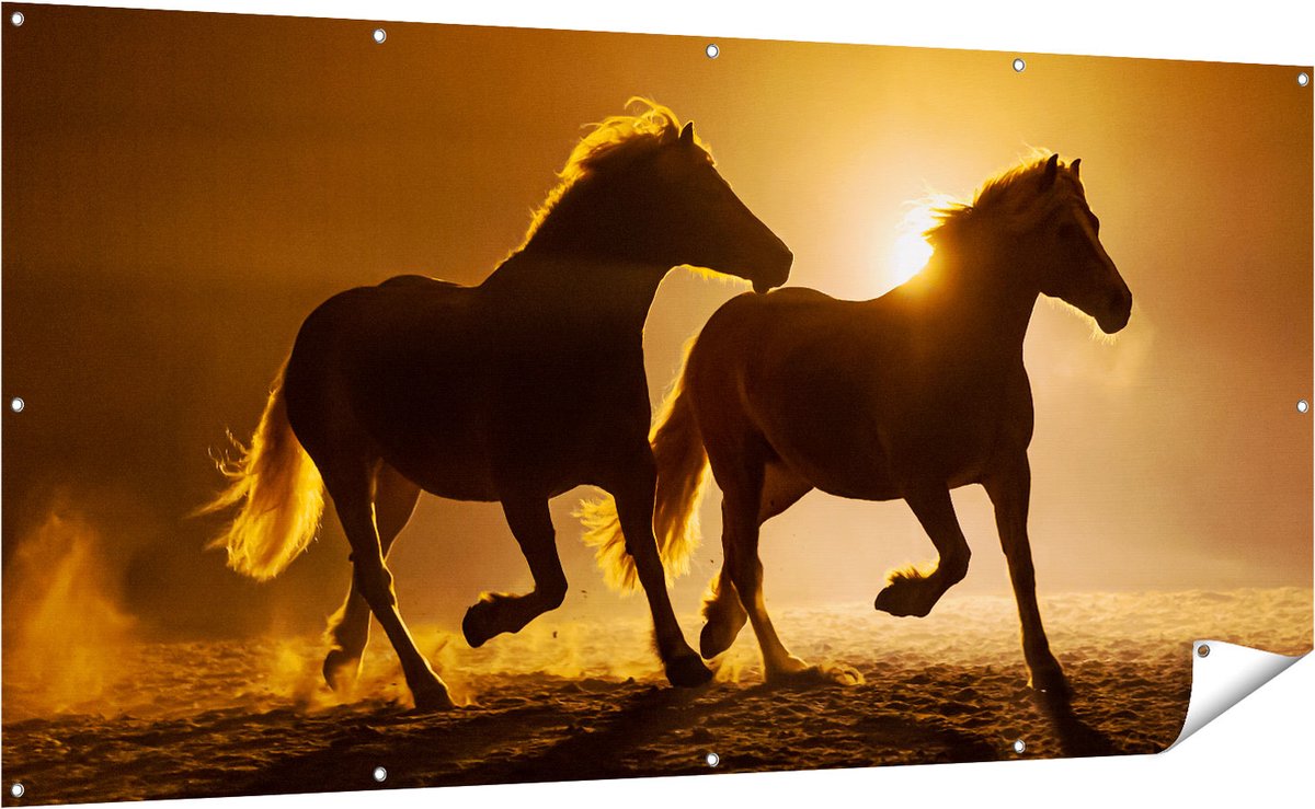 Gards Tuinposter Silhouet van Twee Paarden - 200x100 cm - Tuindoek - Tuindecoratie - Wanddecoratie buiten - Tuinschilderij Multikleur