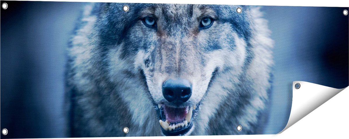 Gards Tuinposter Wolvenkop met Blauwe Ogen - Wolf - 120x40 cm - Tuindoek - Tuindecoratie - Wanddecoratie buiten - Tuinschilderij Multikleur