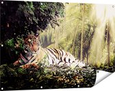 Gards Tuinposter Tijger in de Jungle met Zonneschijn - 120x80 cm - Tuindoek - Tuindecoratie - Wanddecoratie buiten - Tuinschilderij