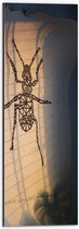 Dibond - Kamerplant bij Muurschildering van Insect - 20x60 cm Foto op Aluminium (Met Ophangsysteem)