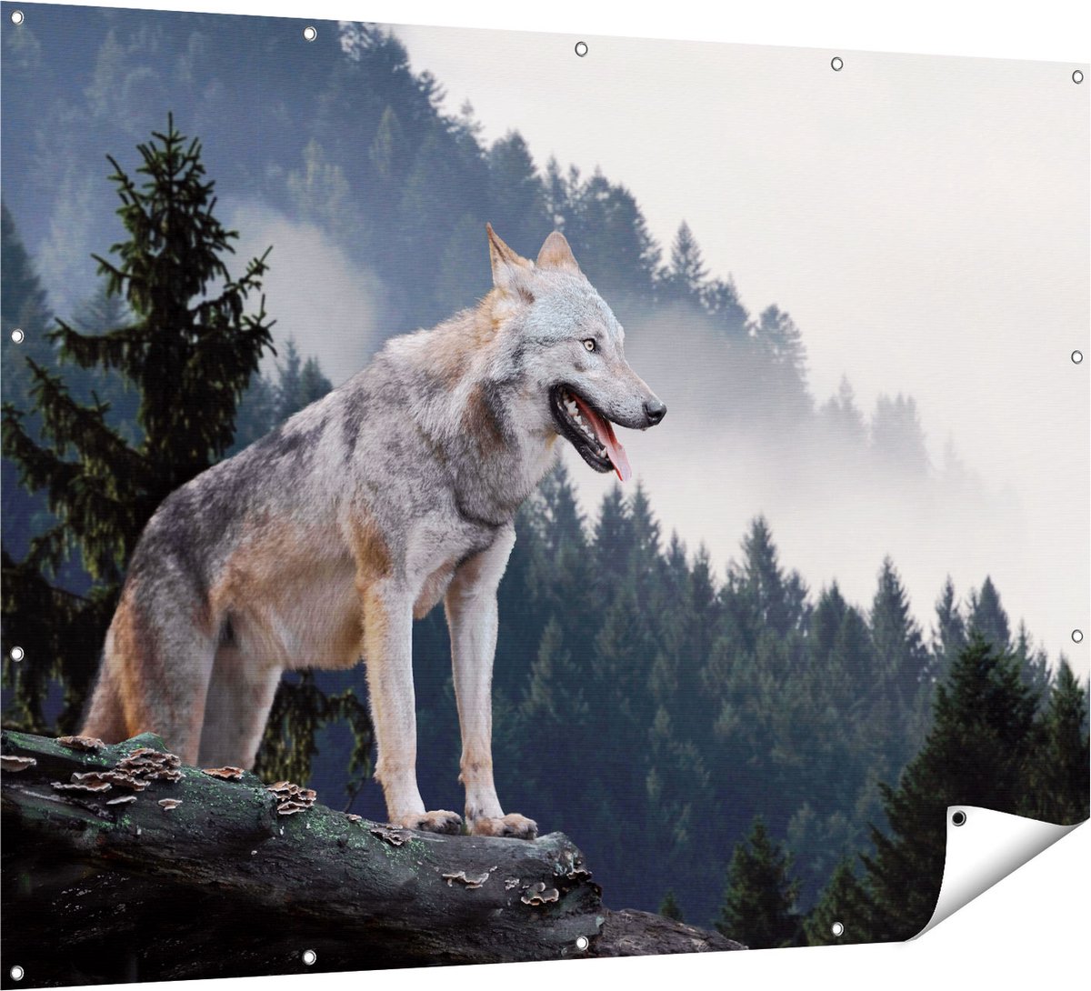 Gards Tuinposter Grijze Wolf in de Bossen - 160x120 cm - Tuindoek - Tuindecoratie - Wanddecoratie buiten - Tuinschilderij Multikleur